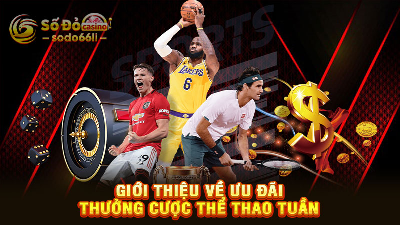 giới thiệu về ưu đãi thưởng cược thể thao tuần