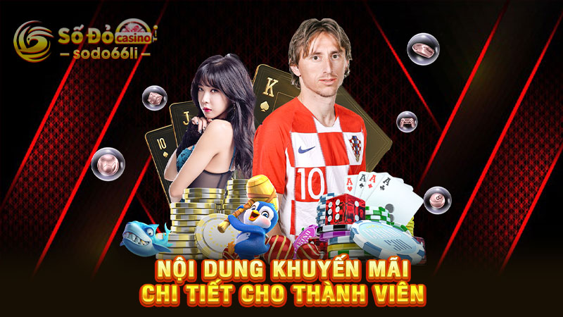 nội dung khuyến mãi chi tiết cho thành viên
